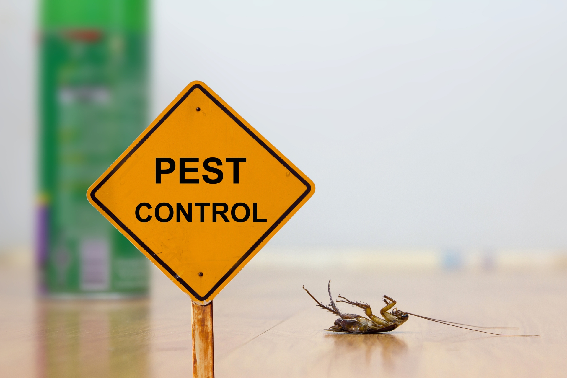 24 Hour Pest Control, Pest Control in Olympic Park, E20. Call Now 020 8166 9746